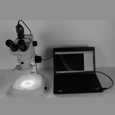 SM645S體視顯微鏡及測量軟件